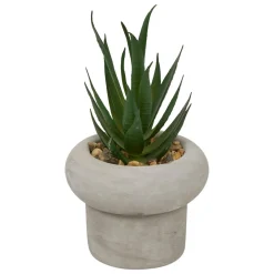 PLANTE GRASSE CIMENT STEFI H.15CM