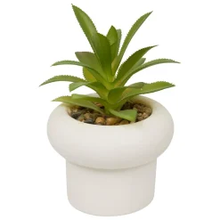 PLANTE GRASSE CIMENT STEFI H.15CM