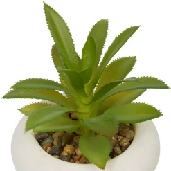 PLANTE GRASSE CIMENT STEFI H.15CM