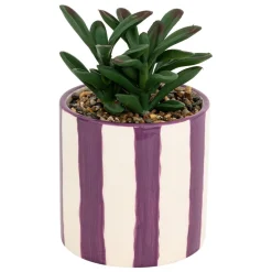 PLANTE GRASSE DEEP PURPLE POT CERAMIQUE RAYE H.16CM