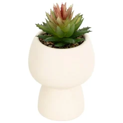 PLANTE GRASSE LIVY POT CERAMIQUE H.17CM