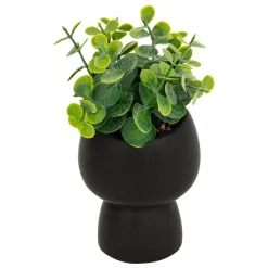 PLANTE GRASSE LIVY POT CERAMIQUE H.17CM