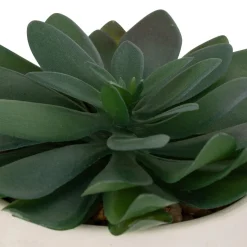 PLANTE GRASSE POT CIMENT DUSTY H.22CM