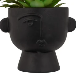 PLANTE GRASSE POT CIMENT DUSTY H.22CM