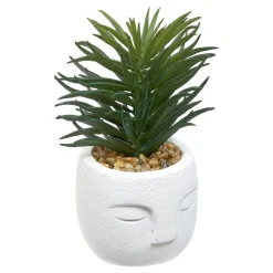 PLANTE GRASSE VISAGE TERI H.13CM