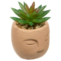 PLANTE GRASSE VISAGE TERI H.13CM