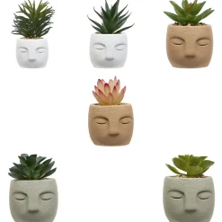 PLANTE GRASSE VISAGE TERI H.13CM