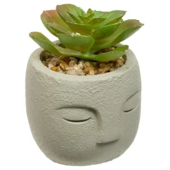 PLANTE GRASSE VISAGE TERI H.13CM