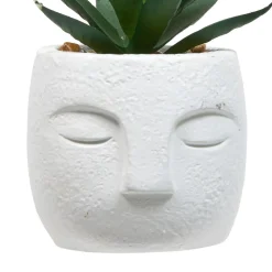 PLANTE GRASSE VISAGE TERI H.13CM