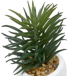 PLANTE GRASSE VISAGE TERI H.13CM