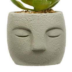 PLANTE GRASSE VISAGE TERI H.13CM