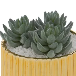 PLANTE LE COLLECTIONNEUR CERAMIQUE DORE H.12CM