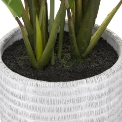 PLANTE LYS DE LA PAIX POT CIMENT H.54CM