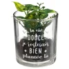 PLANTE POT MESSAGE D.7X8CM