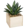 PLANTE VERTE BOIS CHIC H.14CM