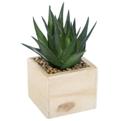 PLANTE VERTE BOIS CHIC H.14CM