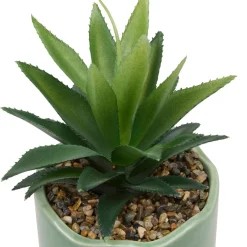 PLANTE VERTE POT CERAMIQUE CHERI H.17CM
