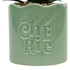 PLANTE VERTE POT CERAMIQUE CHERI H.17CM