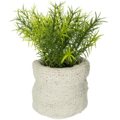 PLANTE VERTE SAC CIMENT VENT H.14CM