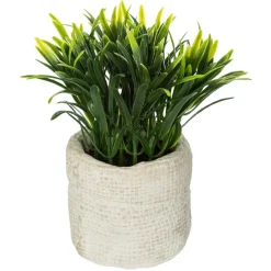 PLANTE VERTE SAC CIMENT VENT H.14CM