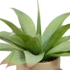PLANTE VISAGE AGAVE SIEN H.48CM