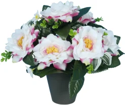 POT CAMELIAS