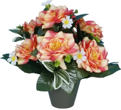 POT CAMELIAS