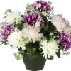 POT CHRYSANTHEMES POMPONETTES