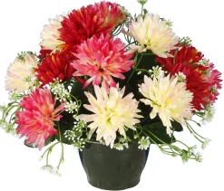 POT CHRYSANTHEMES POMPONETTES
