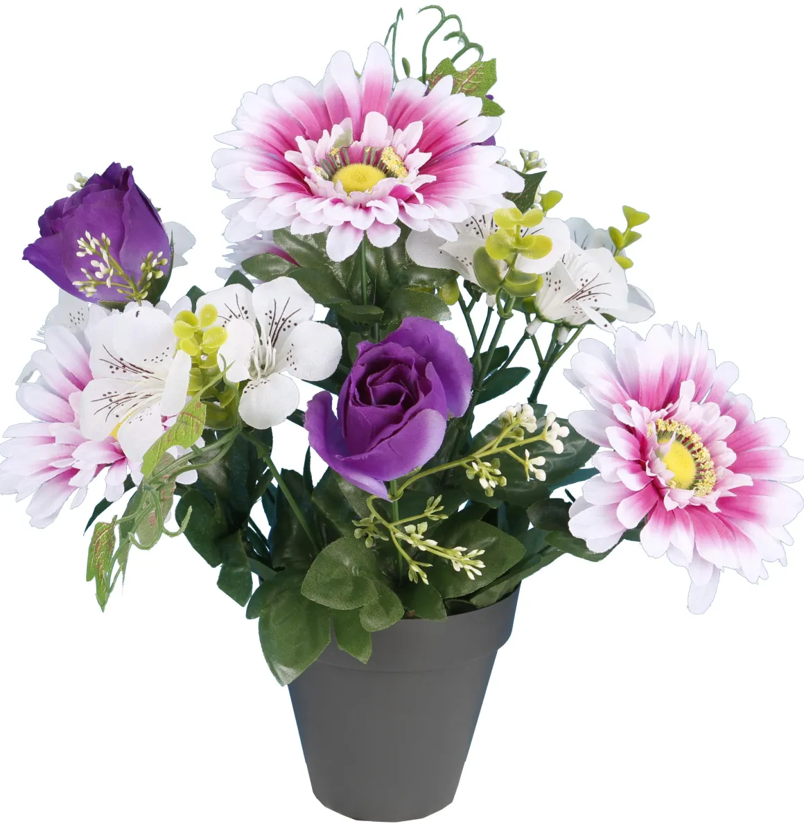 POT GERBERAS BOUTONS