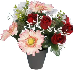 POT GERBERAS BOUTONS