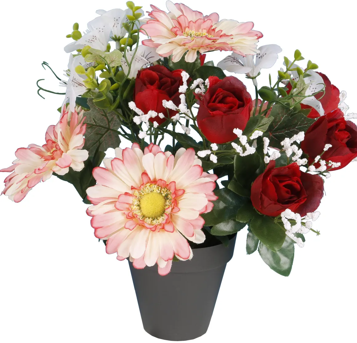POT GERBERAS BOUTONS