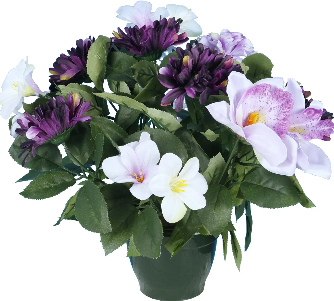 POT ZINIAS ORCHIDEES GERBERAS