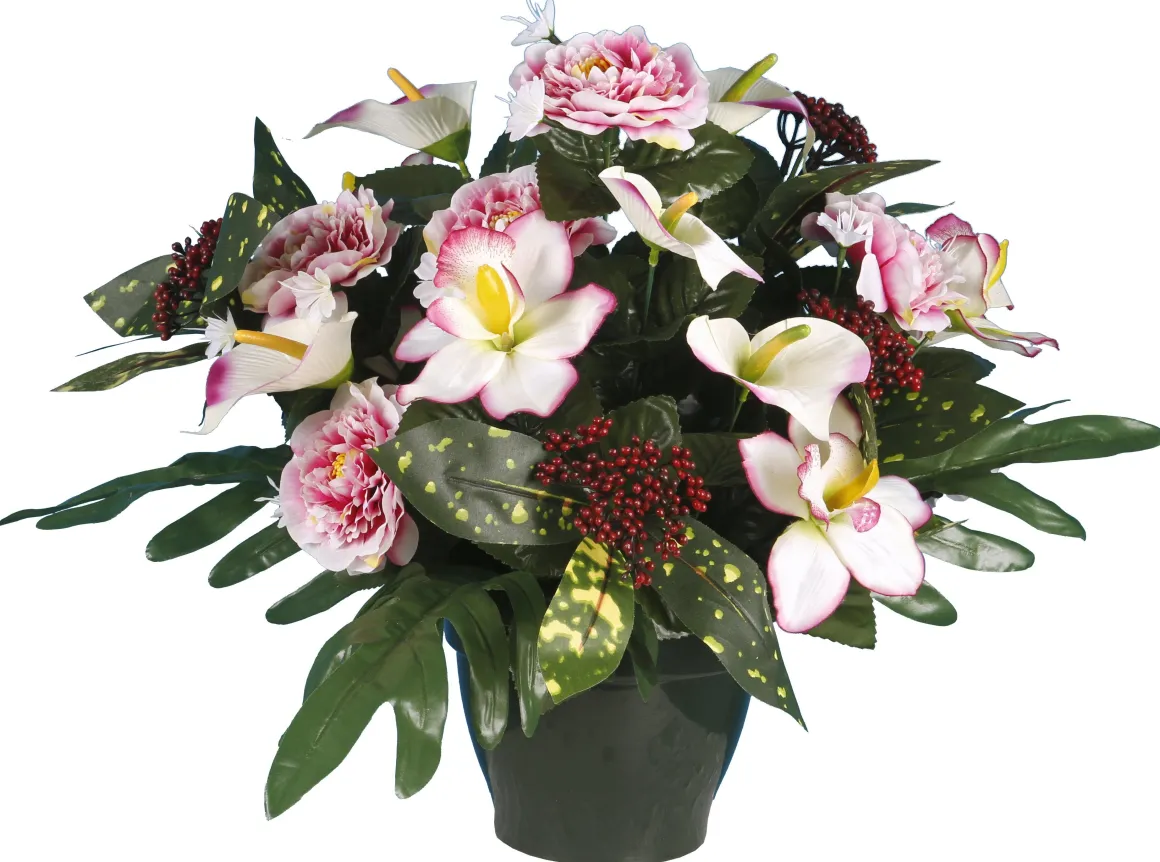 POT ZINNIA ARUM ORCHIDEE