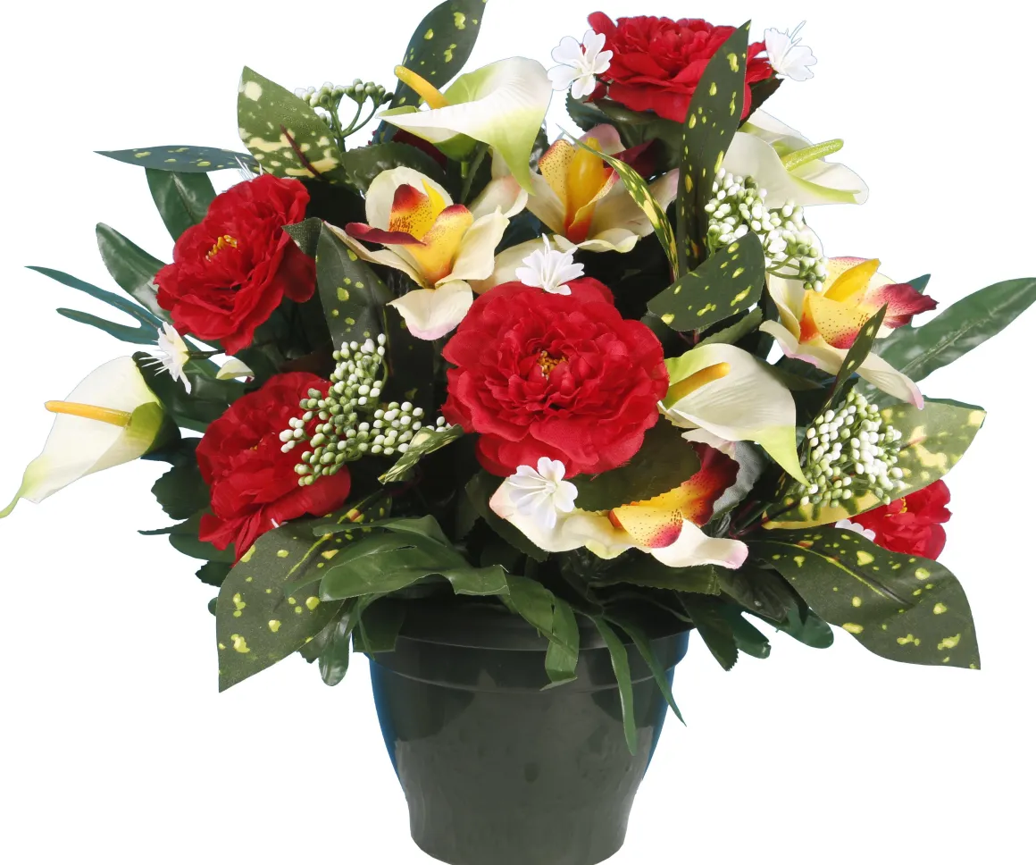 POT ZINNIA ARUM ORCHIDEE