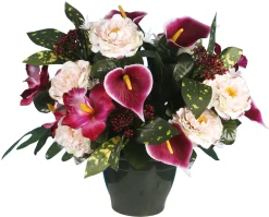 POT ZINNIA ARUM ORCHIDEE