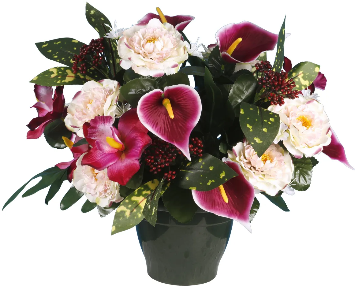 POT ZINNIA ARUM ORCHIDEE
