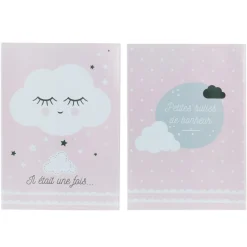PROTEGE CARNET DE SANTE