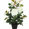 ROSIER 3 FLEURS 2 BOUTONS POT PLASTIQUE NOIR 13X11CM H.50CM