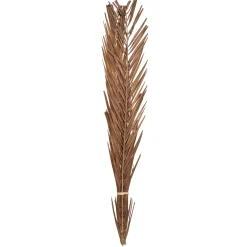 SECHE NATUREL H.100CM
