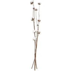 SECHE NATUREL H.100CM