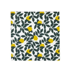 SERVIETTE PAPIER ZESTE X20