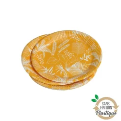 SET 10 ASSIETTES CARTON D.18CM EXOTIC MOOD
