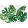 SET DE TABLE 28.5X44 CM POLYPROPYLENE OPAQUE CANOPEE
