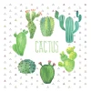 SET 20 SERVIETTES CACTUS 33X33CM