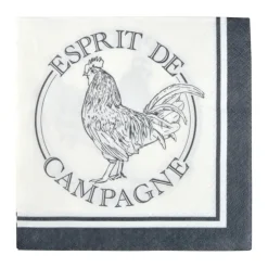 SET 20 SERVIETTES PAPIER 3 PLIS 33X33CM ESPRIT DE CAMPAGNE