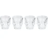 SHOOTER TETE DE MORT X4