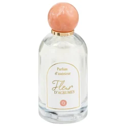 SPRAY AMBIANCE WILD 100ML