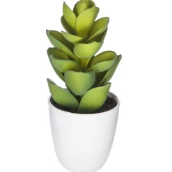 SUCCULENTE CACTUS H.18CM