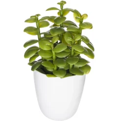 SUCCULENTE CACTUS H.18CM